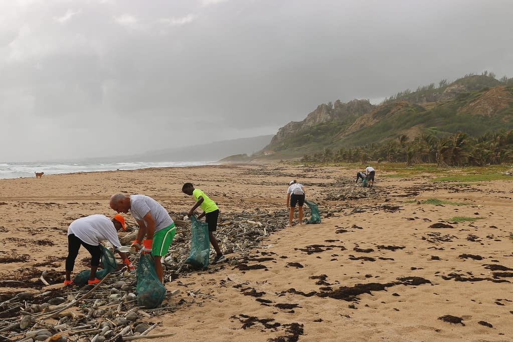 People cleaning up a beach