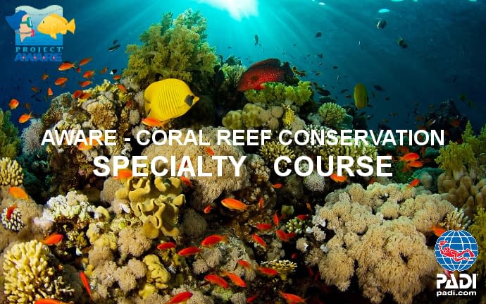 PADI Aware Coral Reef Conservation
