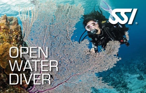 Women scuba diving by a reef. SSI Open Water Diver poster